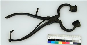 Image description is not available for JS.12